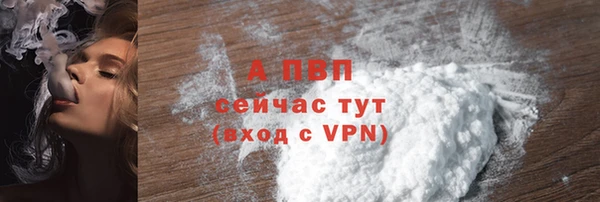 гидра Аша