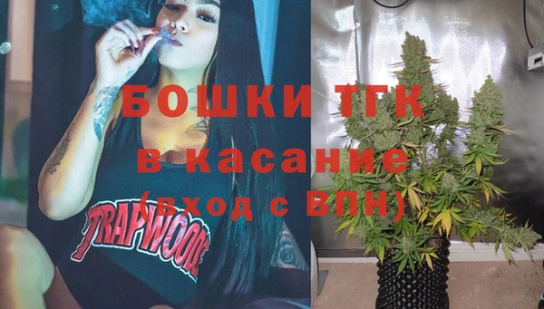 индика Михайловка