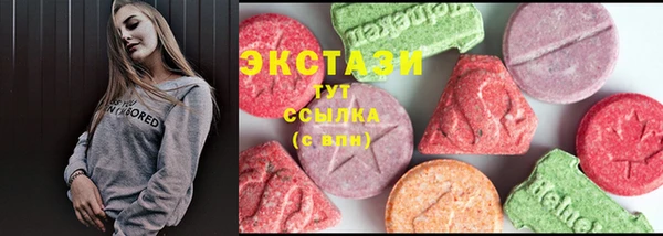 гидра Аша