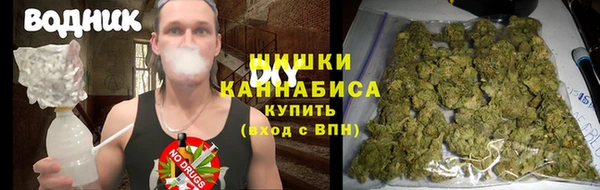 гидра Аша