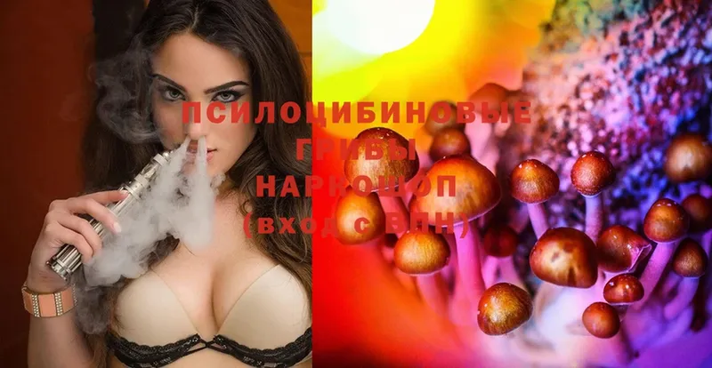 ОМГ ОМГ зеркало  Заозёрск  Псилоцибиновые грибы Magic Shrooms 